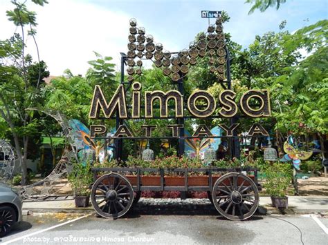 mimosa pattaya|MIMOSA PATTAYA: All You Need to Know .